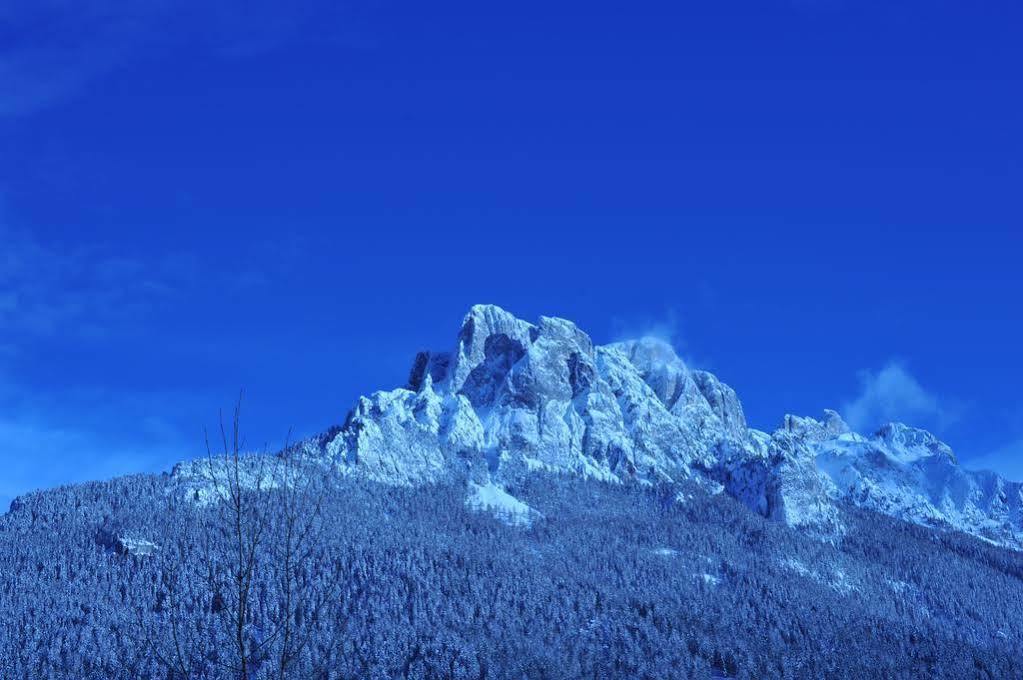 Hotel Garni Carpe Diem Vigo di Fassa Kültér fotó